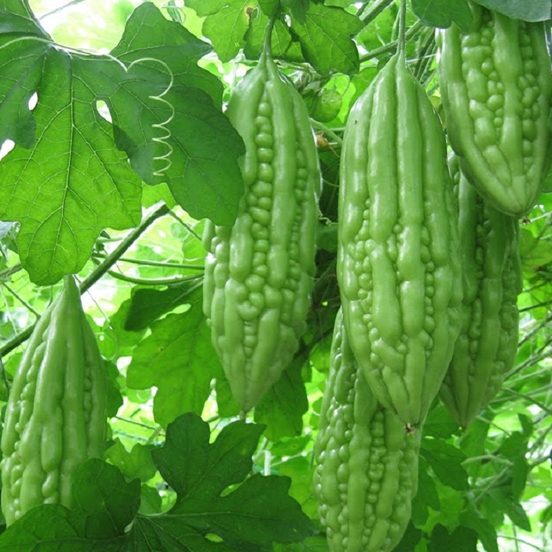 (HỘ KINH DOANH) LÊ VĂN LUÂN
